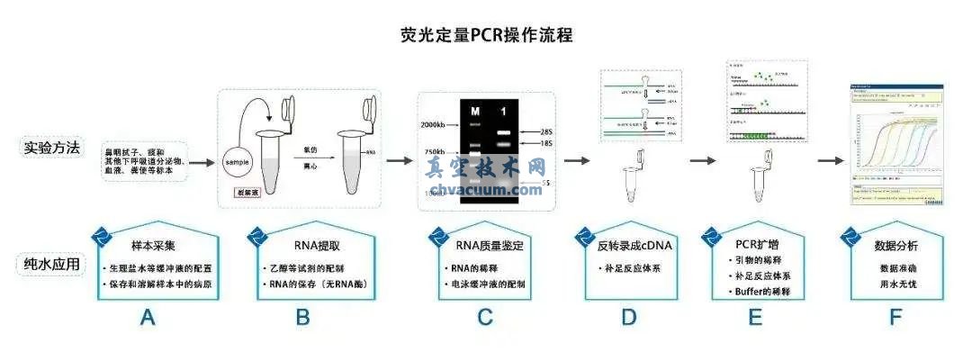 真空技術在核酸檢測的關鍵作用