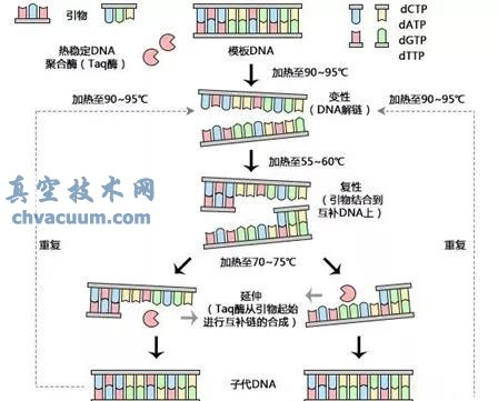 真空技術在核酸檢測的關鍵作用